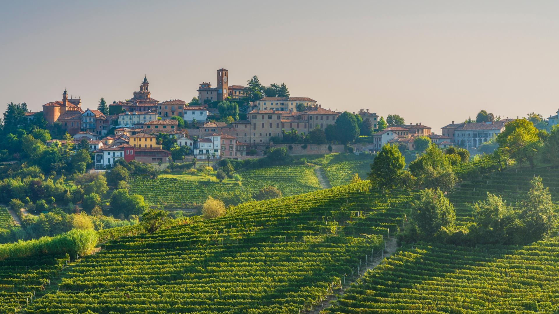 Paesaggio collinare con vigneti e borgo storico immerso nel verde.