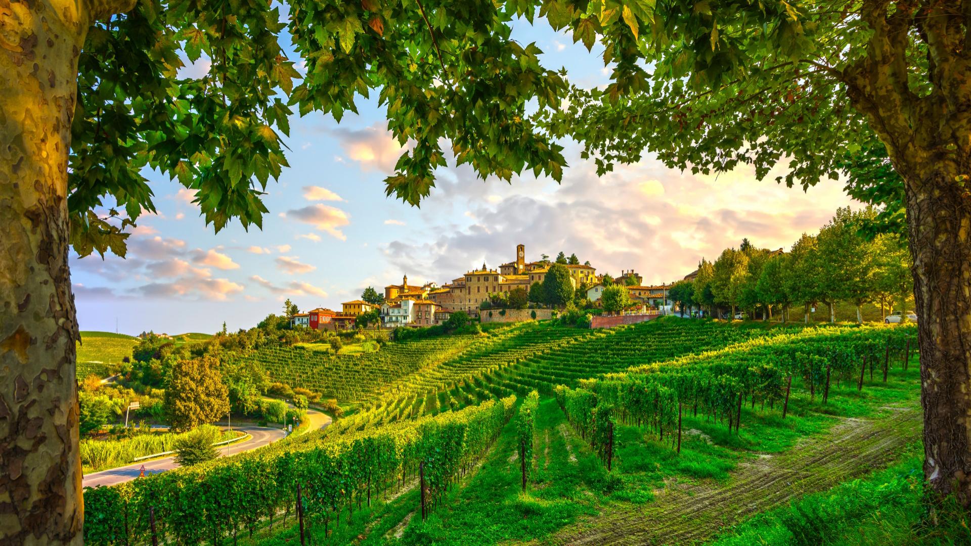 Panorama di un borgo collinare con vigneti al tramonto.